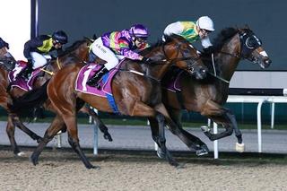 Distinctive Darci (NZ) claimed the Listed Merlion Trophy. Photo: Singapore Turf Club